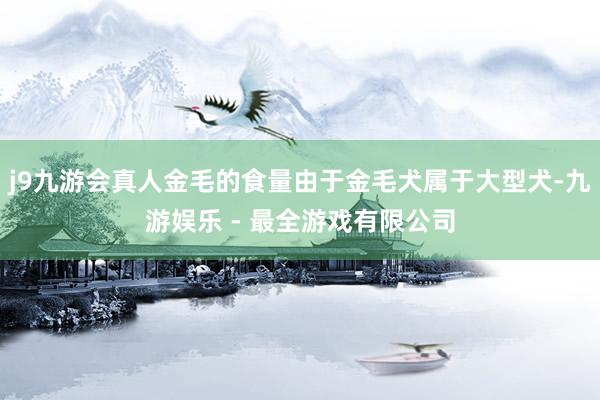 j9九游会真人金毛的食量由于金毛犬属于大型犬-九游娱乐 - 最全游戏有限公司