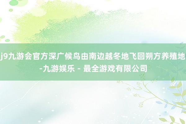 j9九游会官方深广候鸟由南边越冬地飞回朔方养殖地-九游娱乐 - 最全游戏有限公司