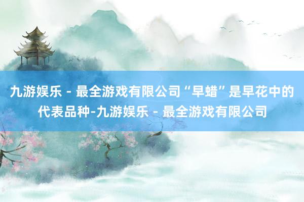 九游娱乐 - 最全游戏有限公司“早蜡”是早花中的代表品种-九游娱乐 - 最全游戏有限公司