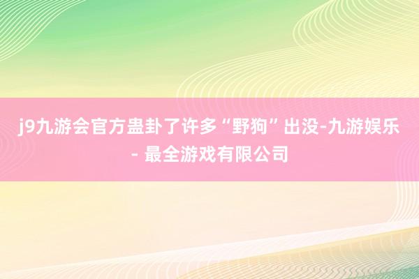 j9九游会官方蛊卦了许多“野狗”出没-九游娱乐 - 最全游戏有限公司