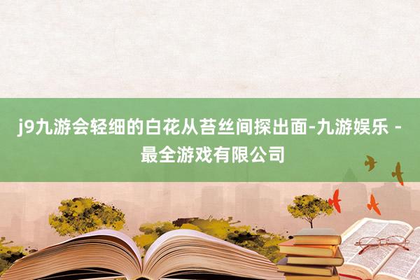 j9九游会轻细的白花从苔丝间探出面-九游娱乐 - 最全游戏有限公司